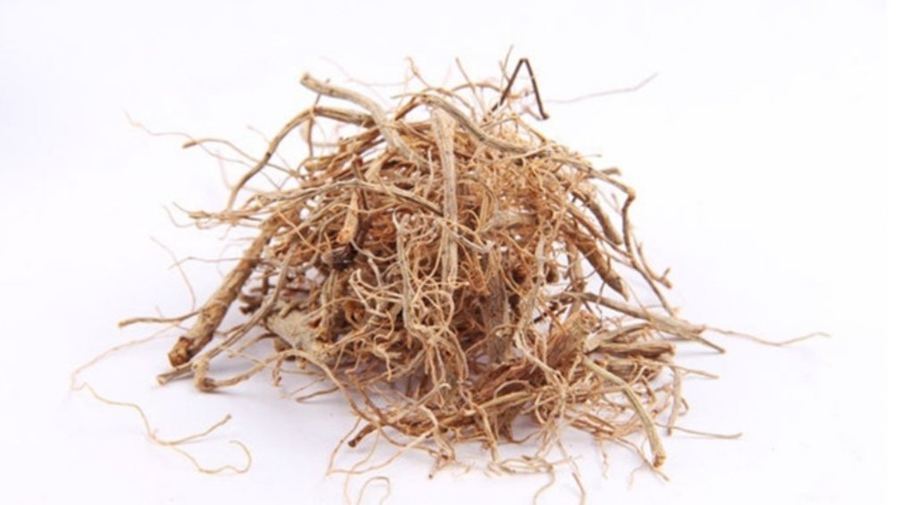 三七植株整体形态