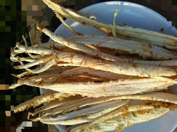显微镜下北沙参与玉竹横切面组织结构对比:左侧为北沙参,显示清晰的木质部导管环列,薄壁细胞富含淀粉粒,无明显黏液细胞;右侧为玉竹,可见大量黏液细胞群分布于皮层,维管束散生,薄壁组织富含多糖类物质,呈现半透明凝胶状结构。放大倍数400x,HE染色,标尺100μm 北沙参与玉竹断面显微结构对比图