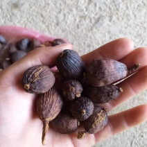 干草果