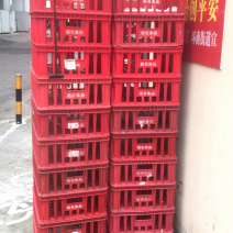 豆渣批发