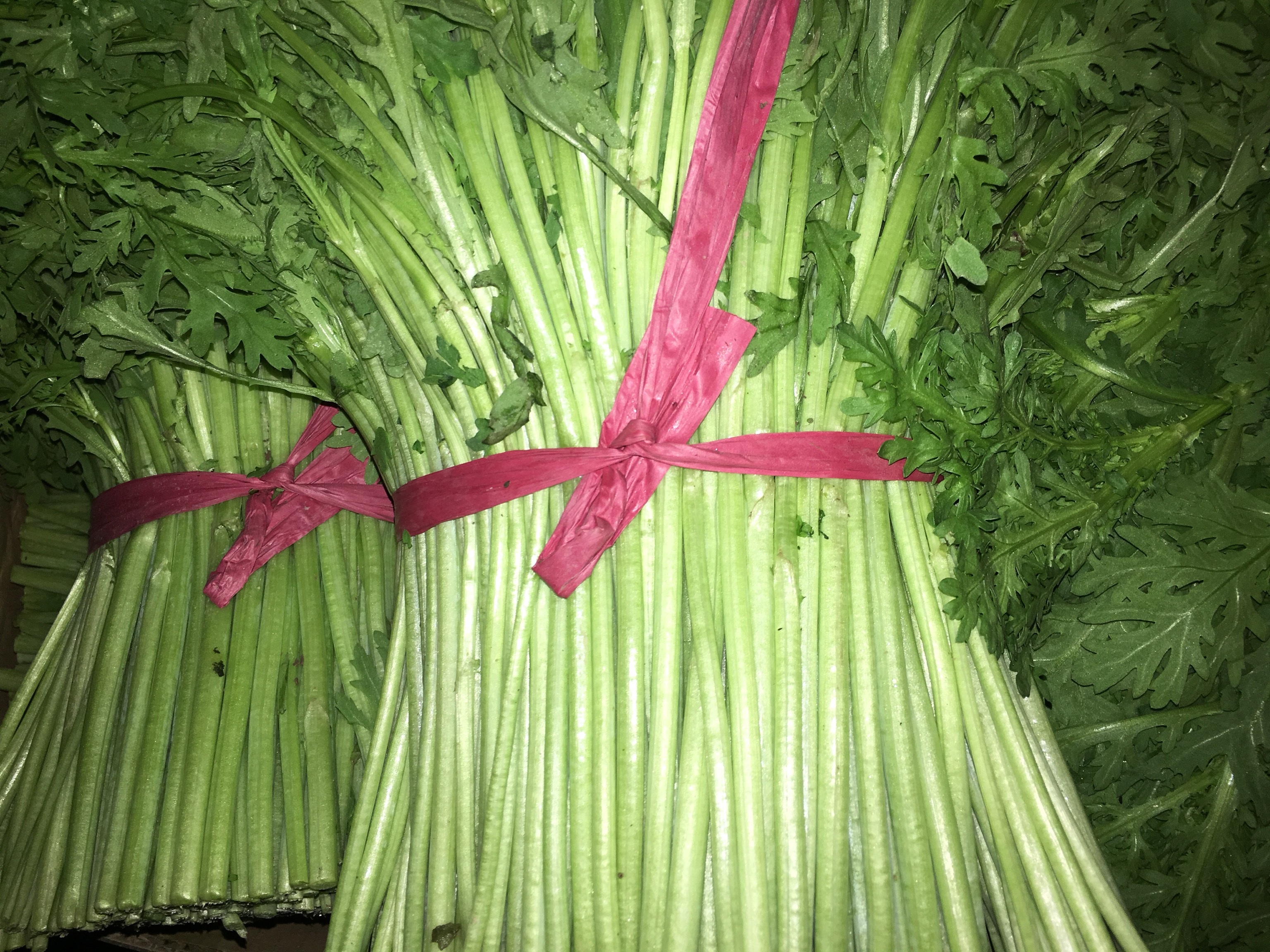 新鲜的茼蒿被洗净并分拣出茎和叶,准备炒制 处理茼蒿