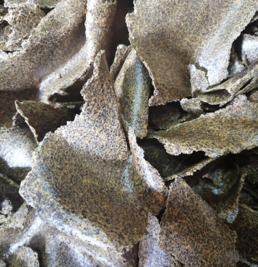 [芝麻饼批发]饼粕类原料花生饼菜籽饼芝麻饼价格1.50元/斤 - 一亩田