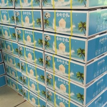 海南新鲜椰子，海南椰青厂价直销批发，一件代发