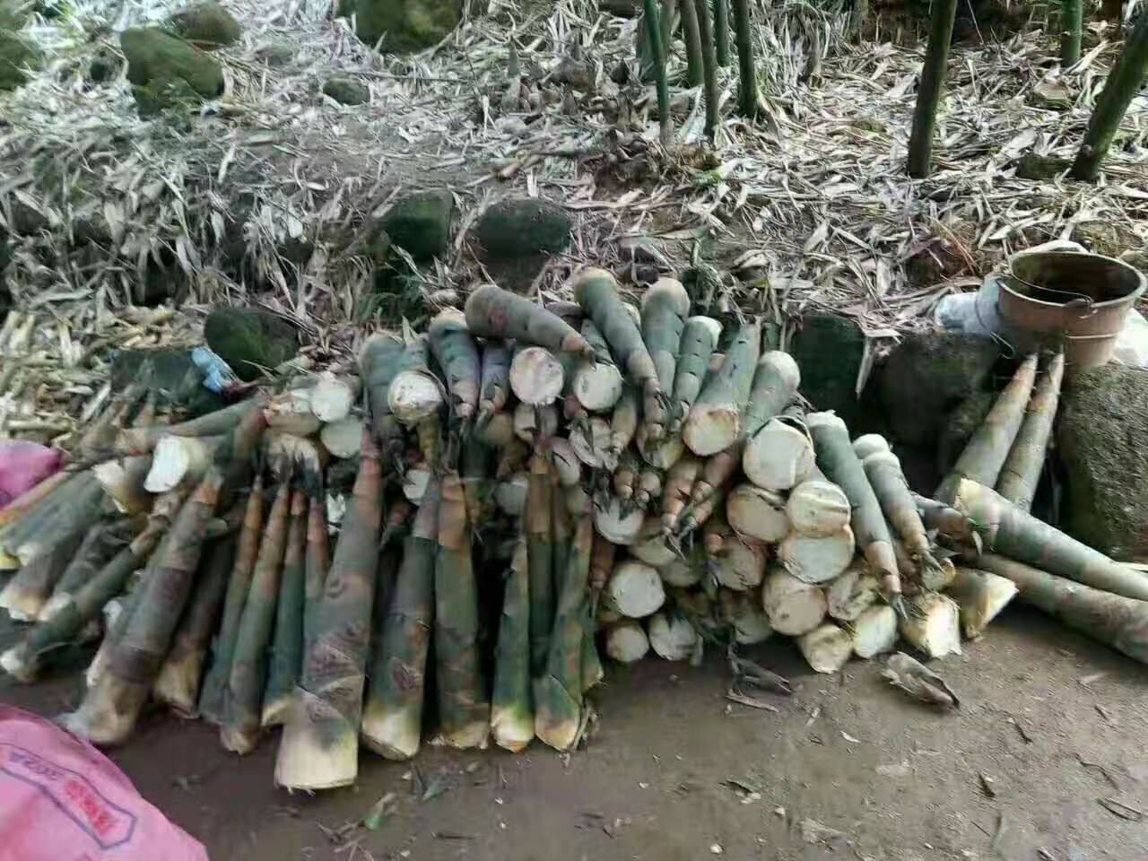 图片说明:新鲜油菜与干制腐竹并列摆放,展示两种食材的原始形态 油菜和腐竹食材对比图