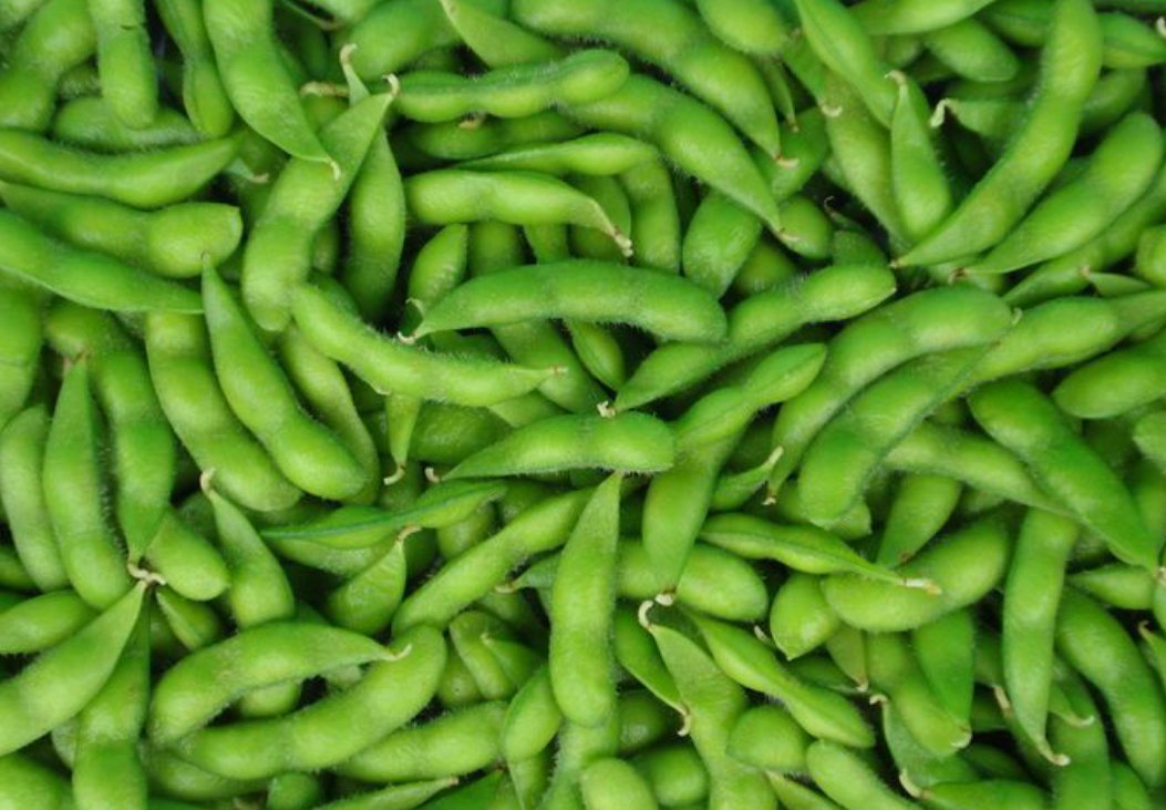 健康饮食金字塔示意图