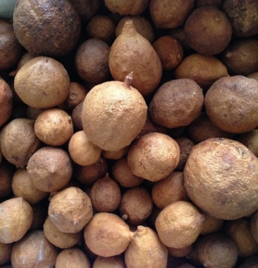 屈头鸡,道地药材,质优价实,品质保证,药典标准一公斤起批