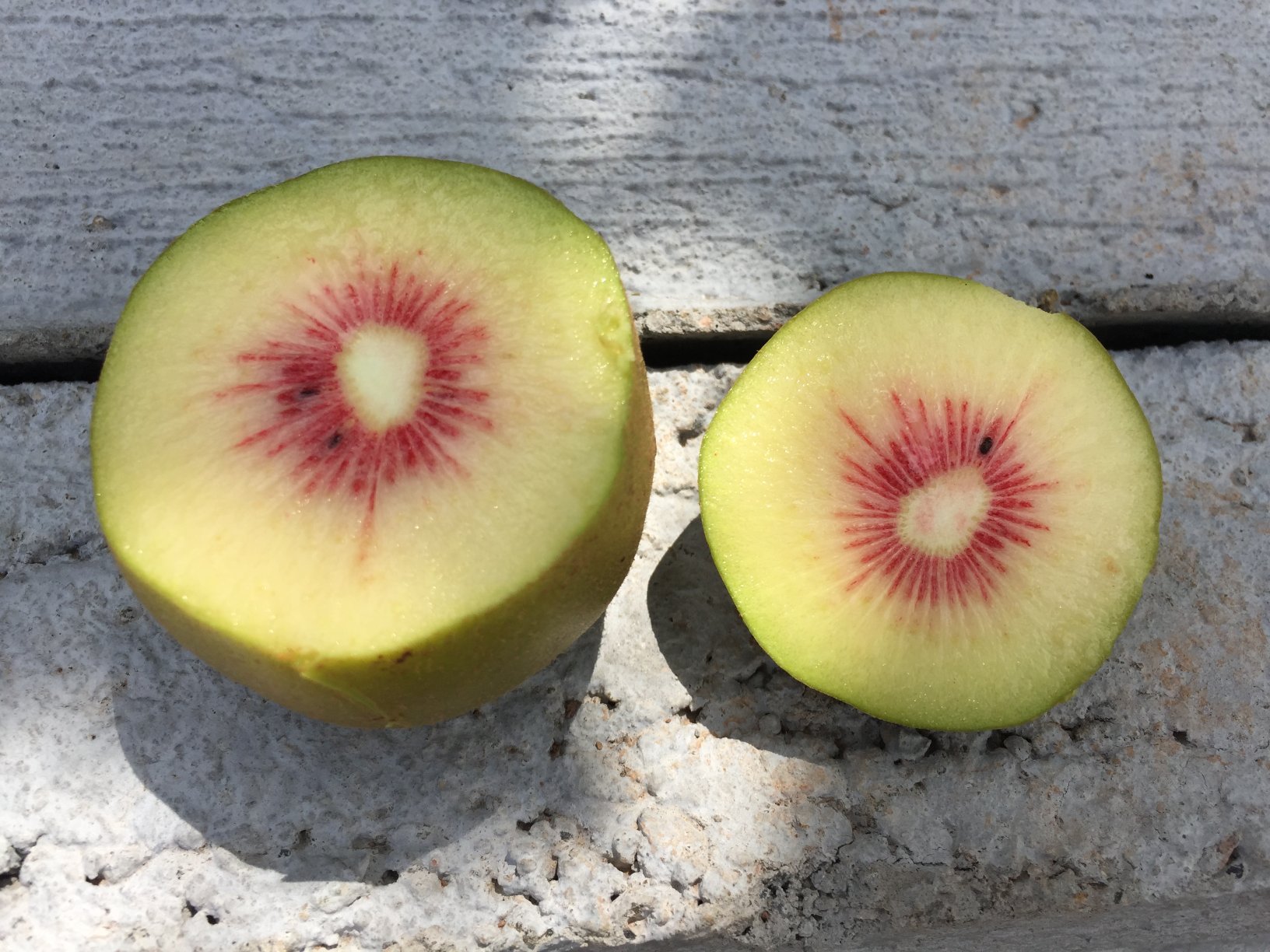 红心猕猴桃与徐香猕猴桃外形对比图