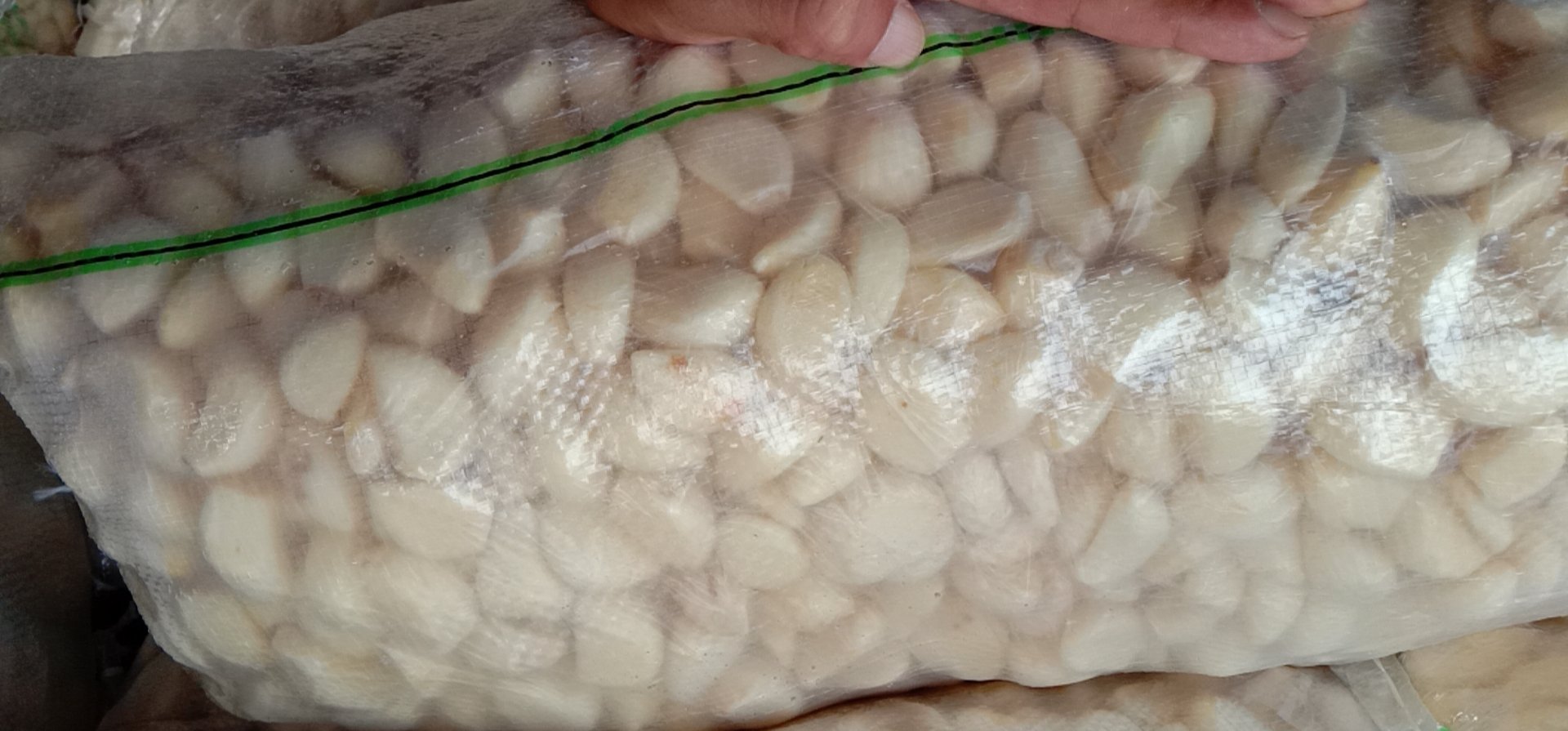 剥皮蒜米特写高清图：透明密封袋装新鲜剥皮蒜米，蒜瓣洁白饱满，大小均匀，表面微润有光泽，背景为木质料理台与不锈钢研钵，体现家庭厨房与专业食材双重属性