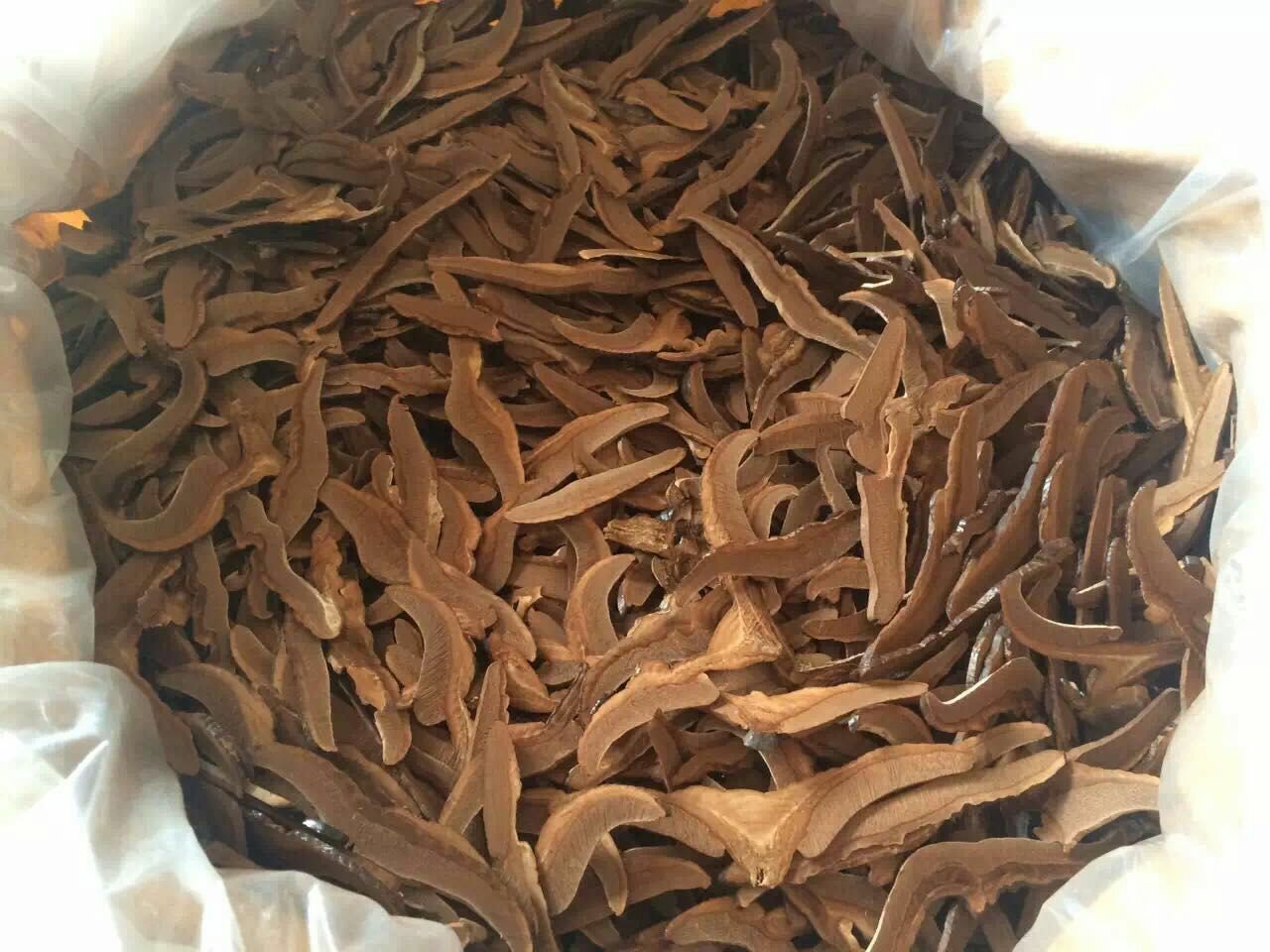 灵芝切片对比图