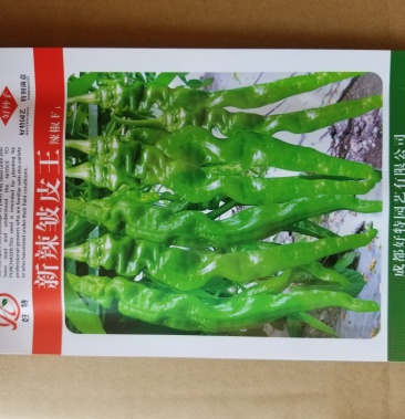 新辣皱皮王辣椒种子