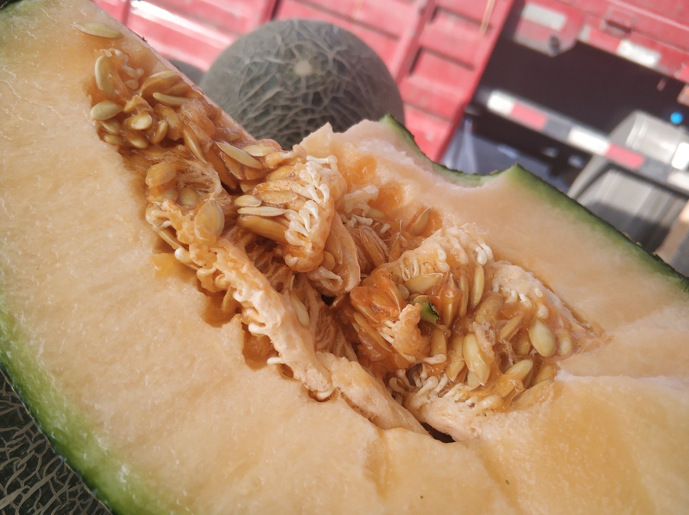 伽师瓜的切面图,果肉呈淡橙黄色,质地细腻,种子呈椭圆形集中于中心 伽师瓜的切面展示