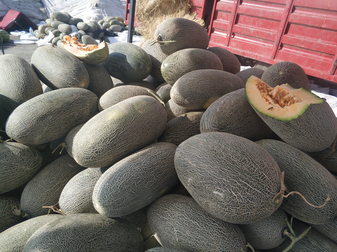 伽师瓜在市场中被精心挑选和包装