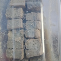 臭豆腐