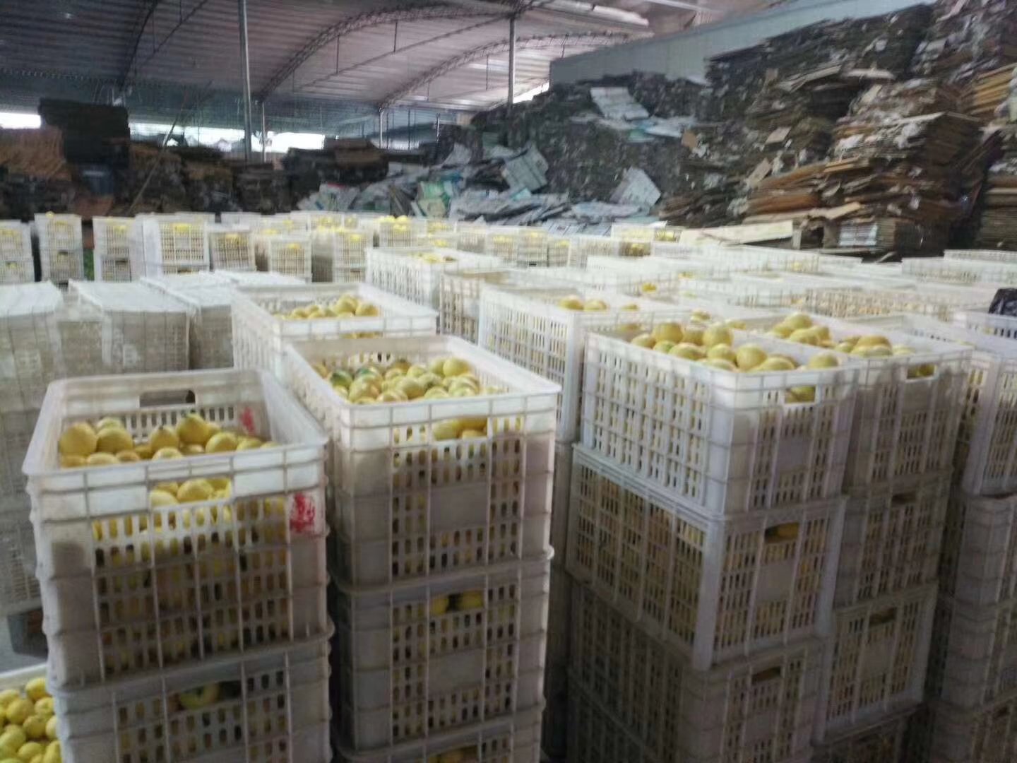 现代化食品加工厂内部,不锈钢管道连接冷榨设备与过滤装置,工人正在监控柠檬液生产流程,透明储罐中储存着淡黄色澄清液体,标识‘安岳鲜榨柠檬原液’ 工厂内柠檬液生产线实景图