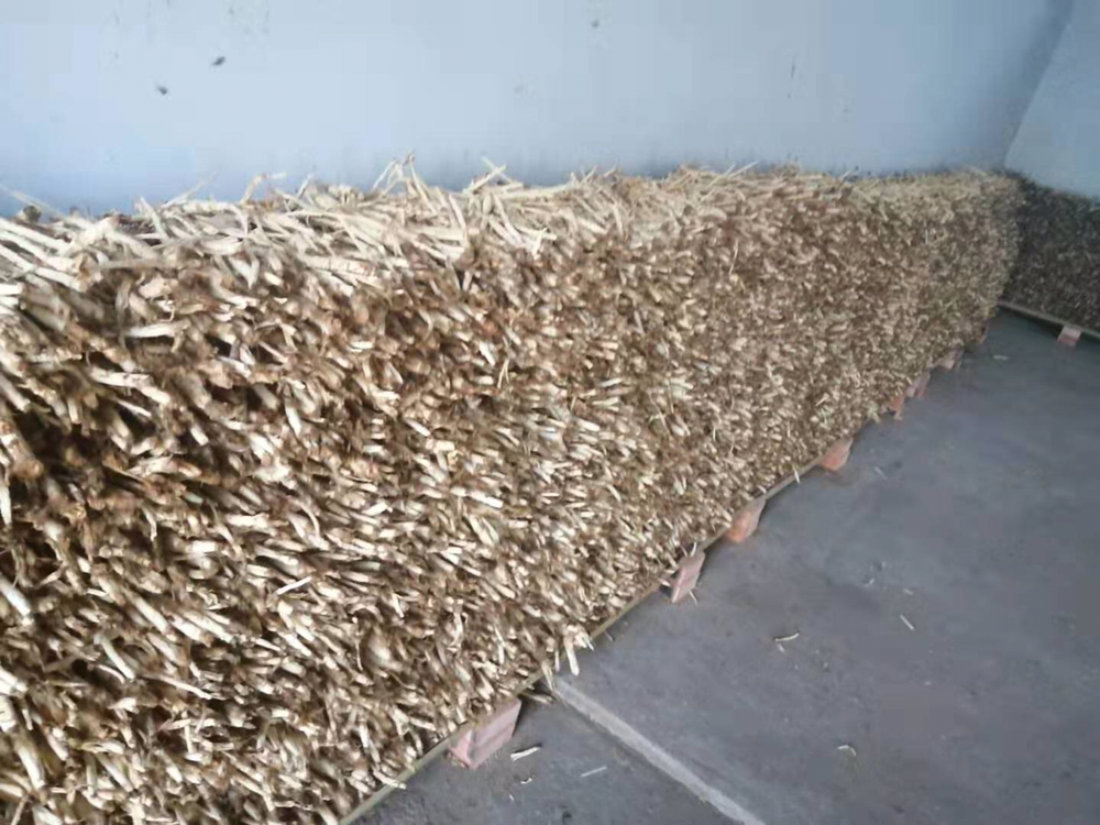 一个透明塑料箱内分层铺设湿润细沙与新鲜北沙参,根条整齐排列,上下交替覆盖沙子,旁边摆放一把小铲子和喷雾瓶,展示家庭式沙埋储藏场景 北沙参沙埋保存示意图