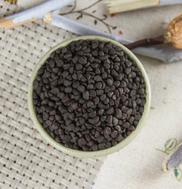 黑丑黑丑粉黑牵牛牵牛子中药材农家初选