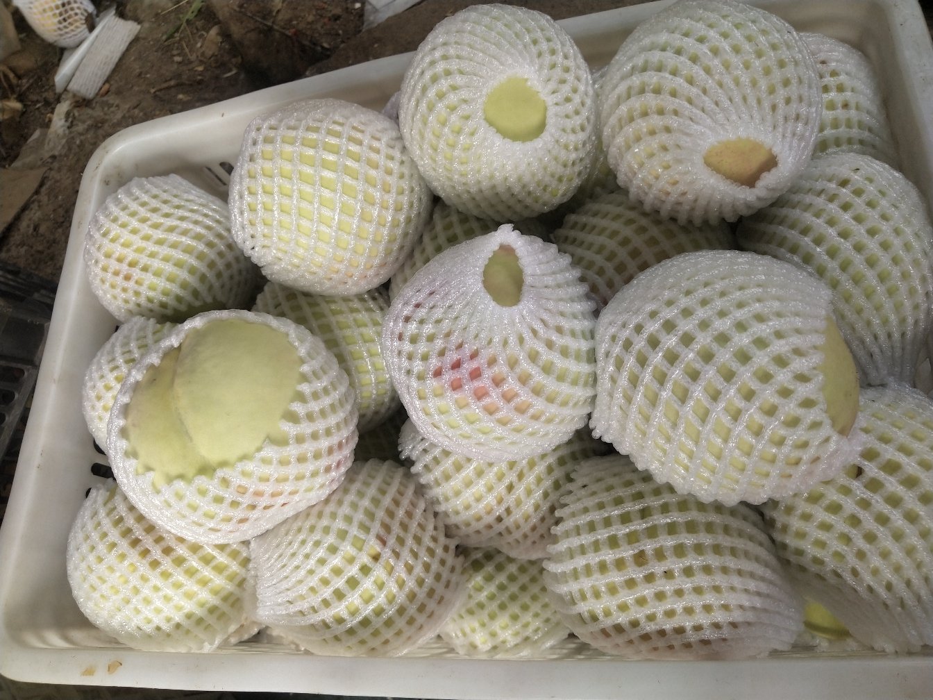 中华大寿桃在果篮中的展示图