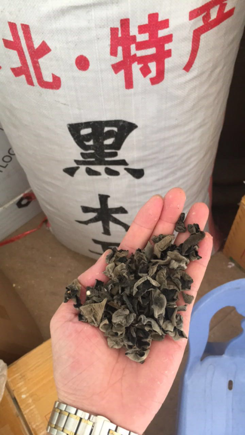 河南省快递到美国 - 郑州市速递到菲尼克斯市