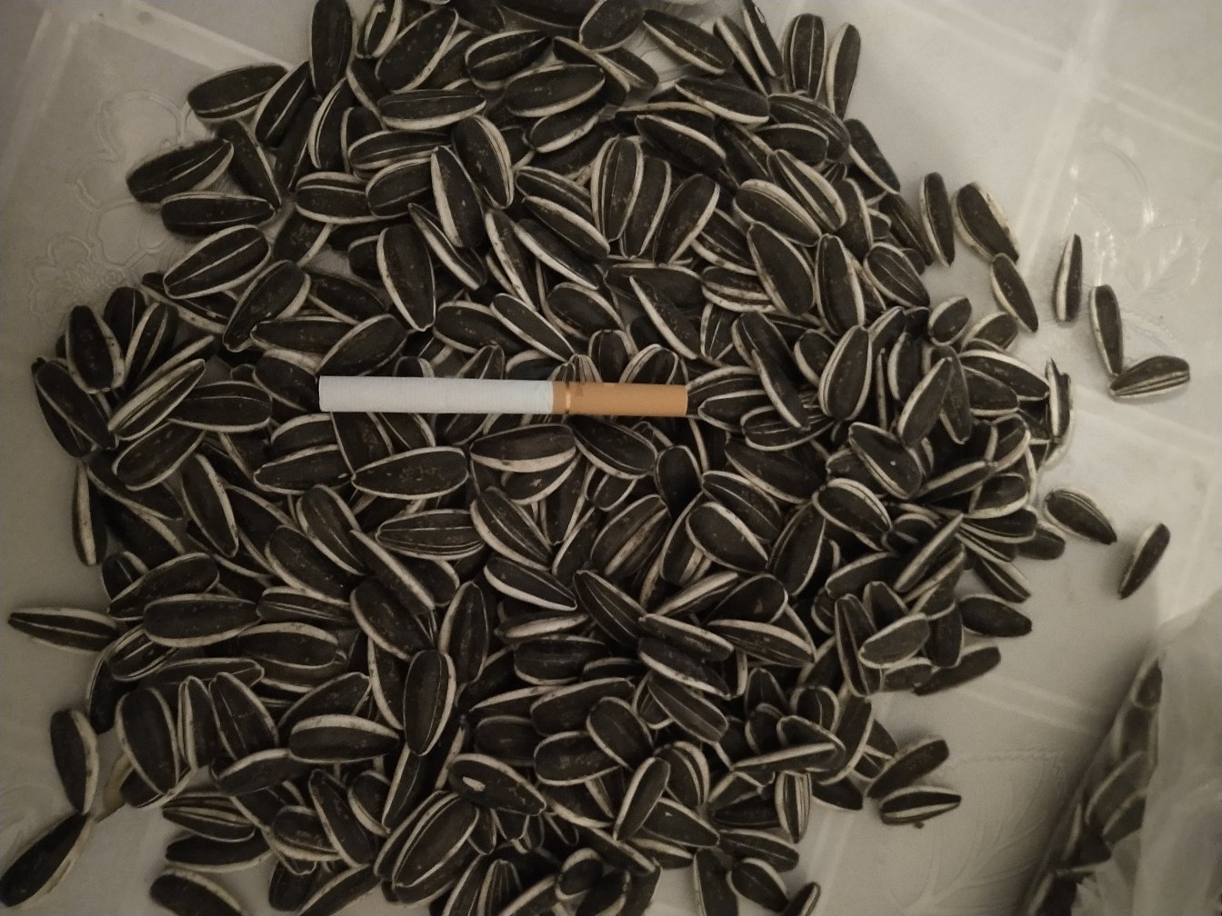 奇亚籽泡水后的吸水膨胀状态