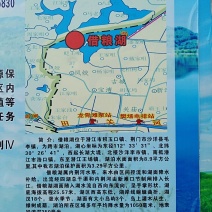 借粮湖野生鱼