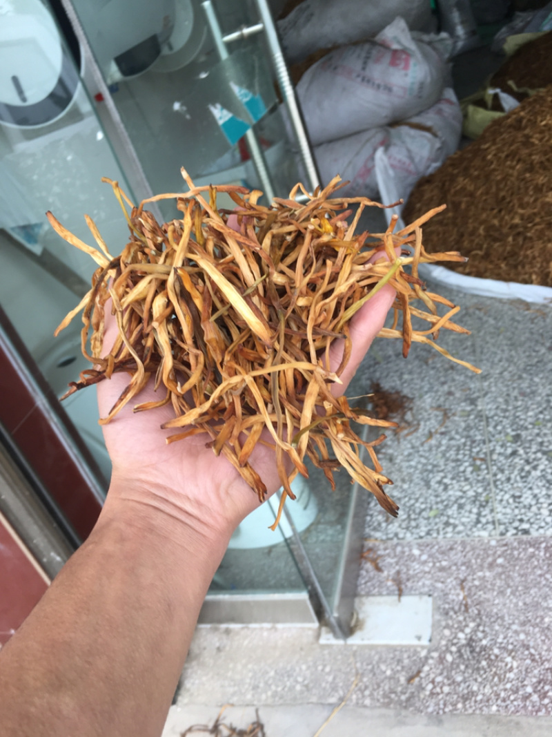 养殖黄花菜的简单介绍 养殖黄花菜的简单

先容
（黄花菜养殖注意事项） 养殖
