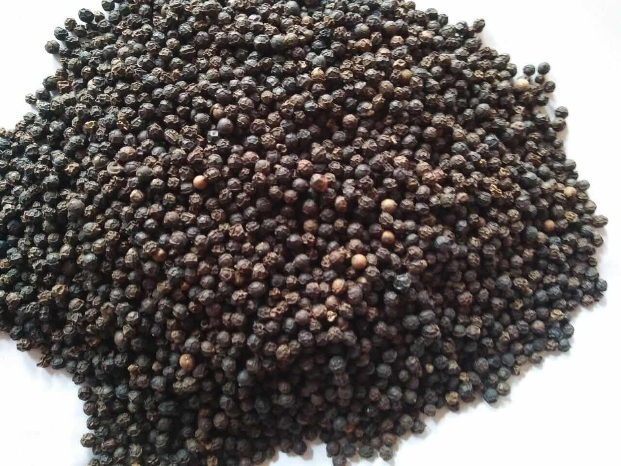 炒胡椒粒的食材准备图