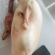 北京烤鸭（填鸭）四系填鸭