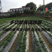 地膜黑色地膜银黑地膜双色地膜白色黑膜农用地膜