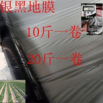 地膜银黑双色反光地膜黑地膜白地膜塑料薄膜农用膜