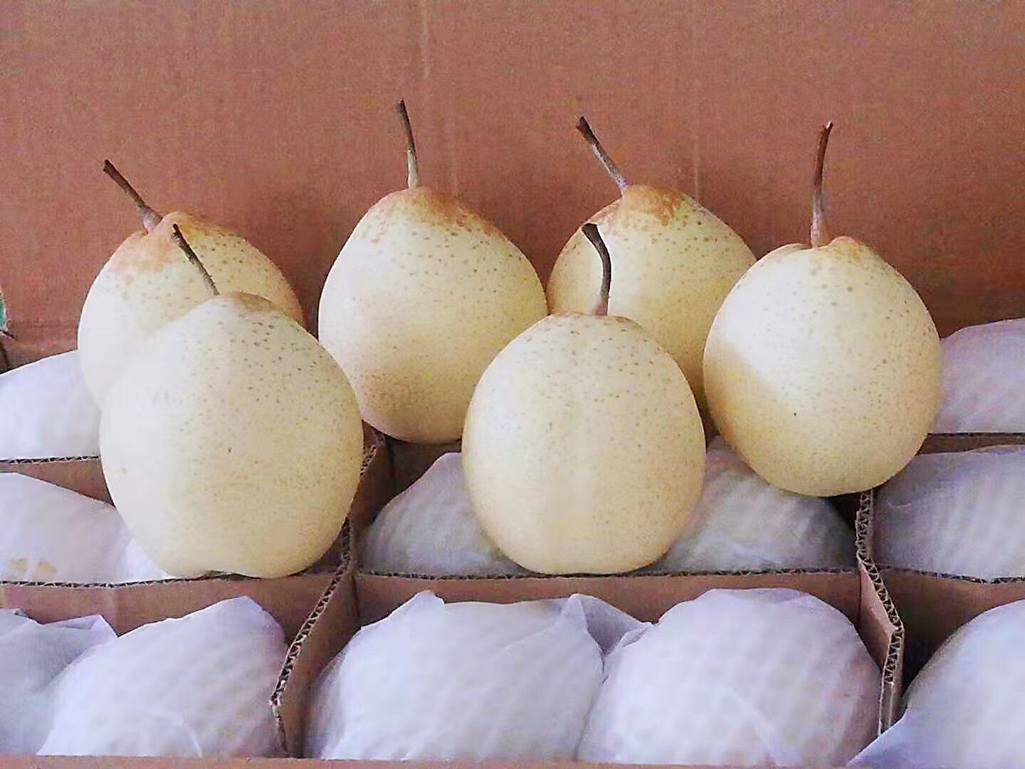 冰糖雪梨成品展示,包括罐装、礼盒装等多种包装形式 雪梨制品