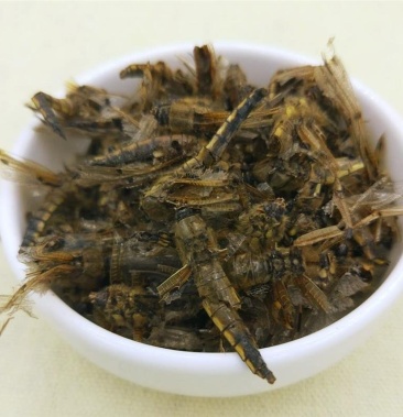 蜻蜓,道地药材,质优价实,品质保证,药典标准一公斤起批