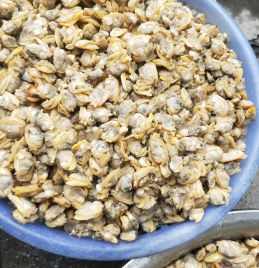 [花蛤批发]花甲螺肉价格40.00元/斤 - 一亩田