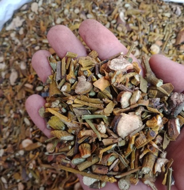 槲寄生中药材槲寄生正品保证质量实图拍照无理由退货退款