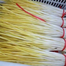 精品蒜黄长期供货欢迎电话咨询