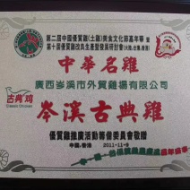 大量供应岑溪古典鸡