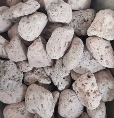 正品海浮石浮海石矿石各种中药材质量保证产地直销