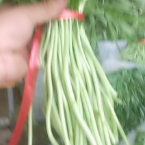 芦蒿