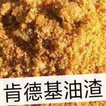 肯德基油渣5吨起