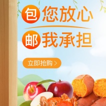 翘嘴白大量收购野生翘嘴