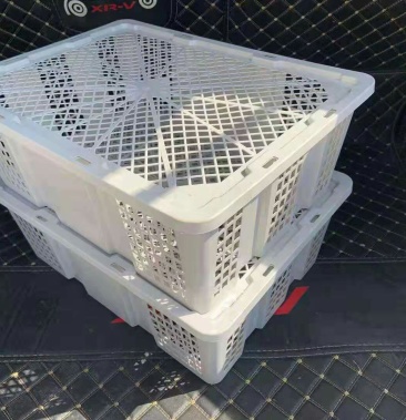 一次性塑料筐水果筐胶筐