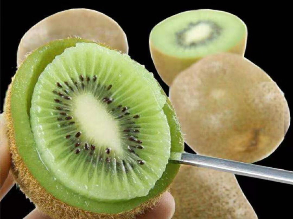 海沃德猕猴桃与消化健康示意图