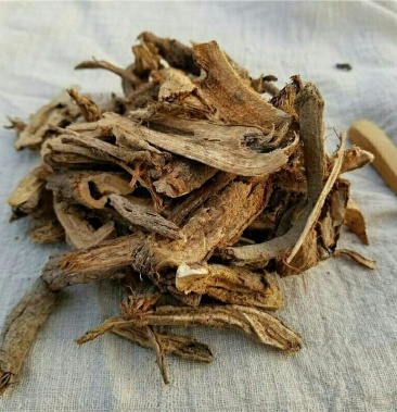 蓖麻根道地药材质优价实品质保证药典标准一公斤起批