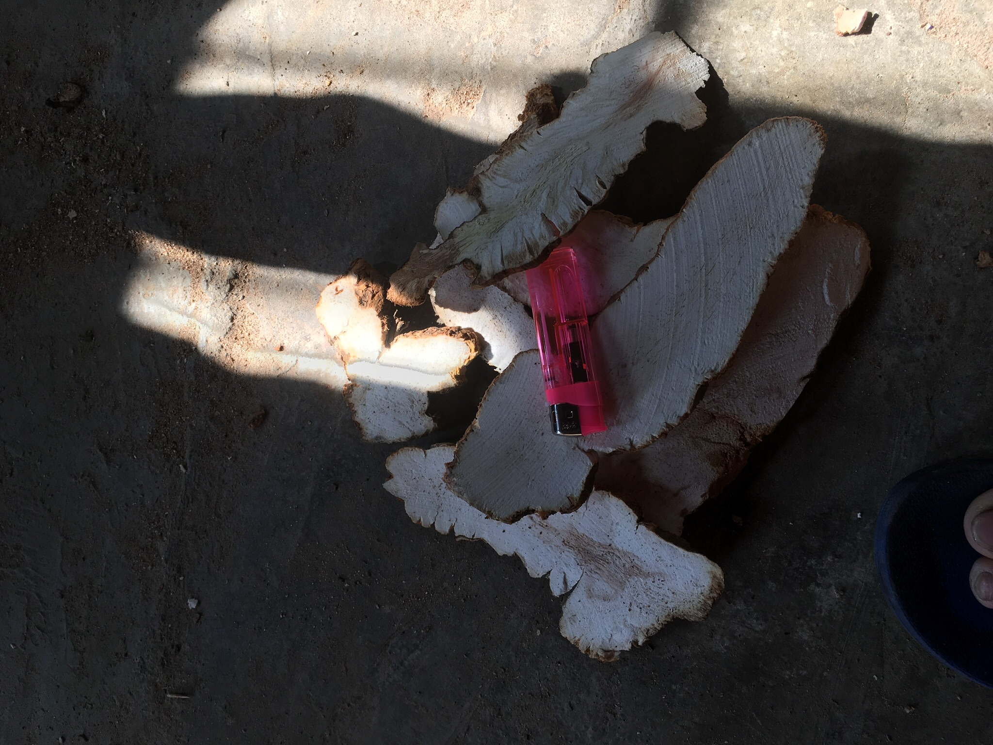 牛骨煲山药炖煮过程图