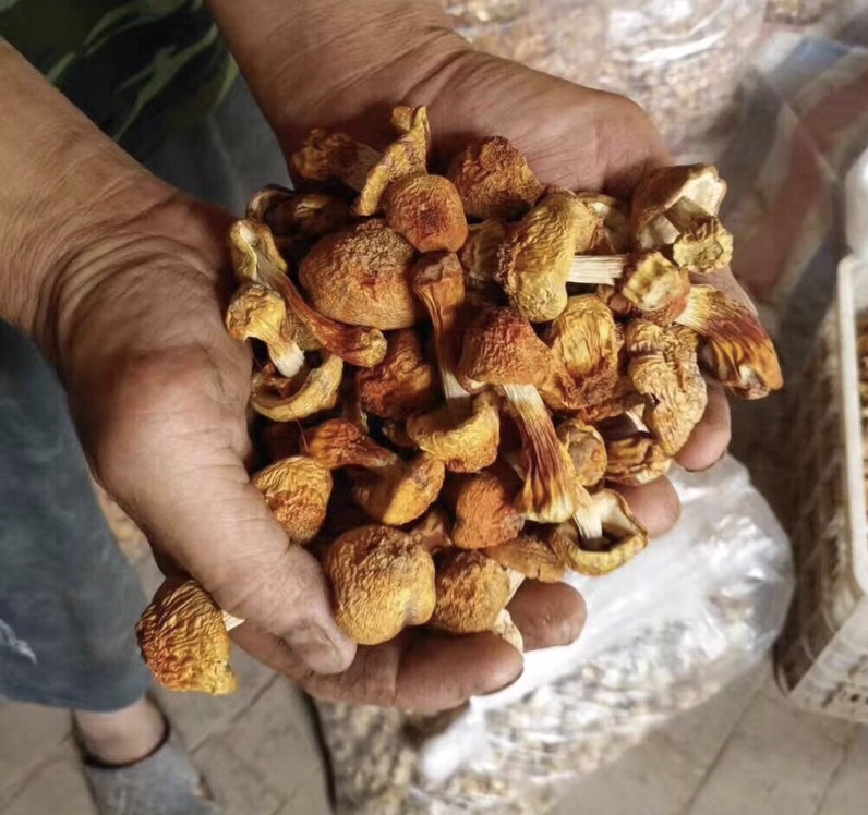 姜片在锅中翻炒的特写图