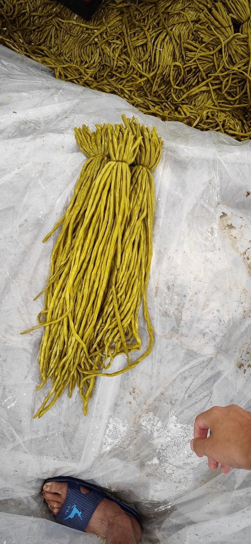 大量供应酸豆角,货源稳定,质量保证,价格美丽.