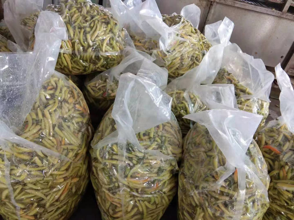 市售泡椒笋产品包装细节展示,突出配料表中‘绿竹笋’标识 超市货架上陈列多款不同品牌的瓶装泡椒笋产品,镜头聚焦于配料表特写,显示“绿竹笋”作为第一原料成分