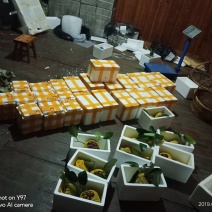 黑老虎果