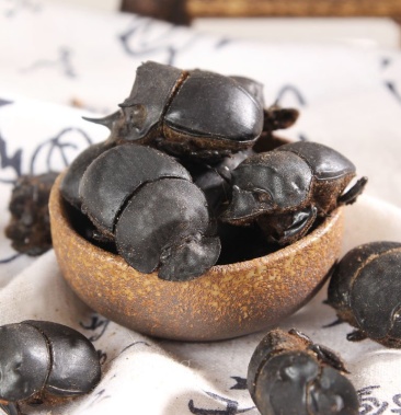 屎壳郎屎壳郎道地药材质优价实品质保证药典标准一公