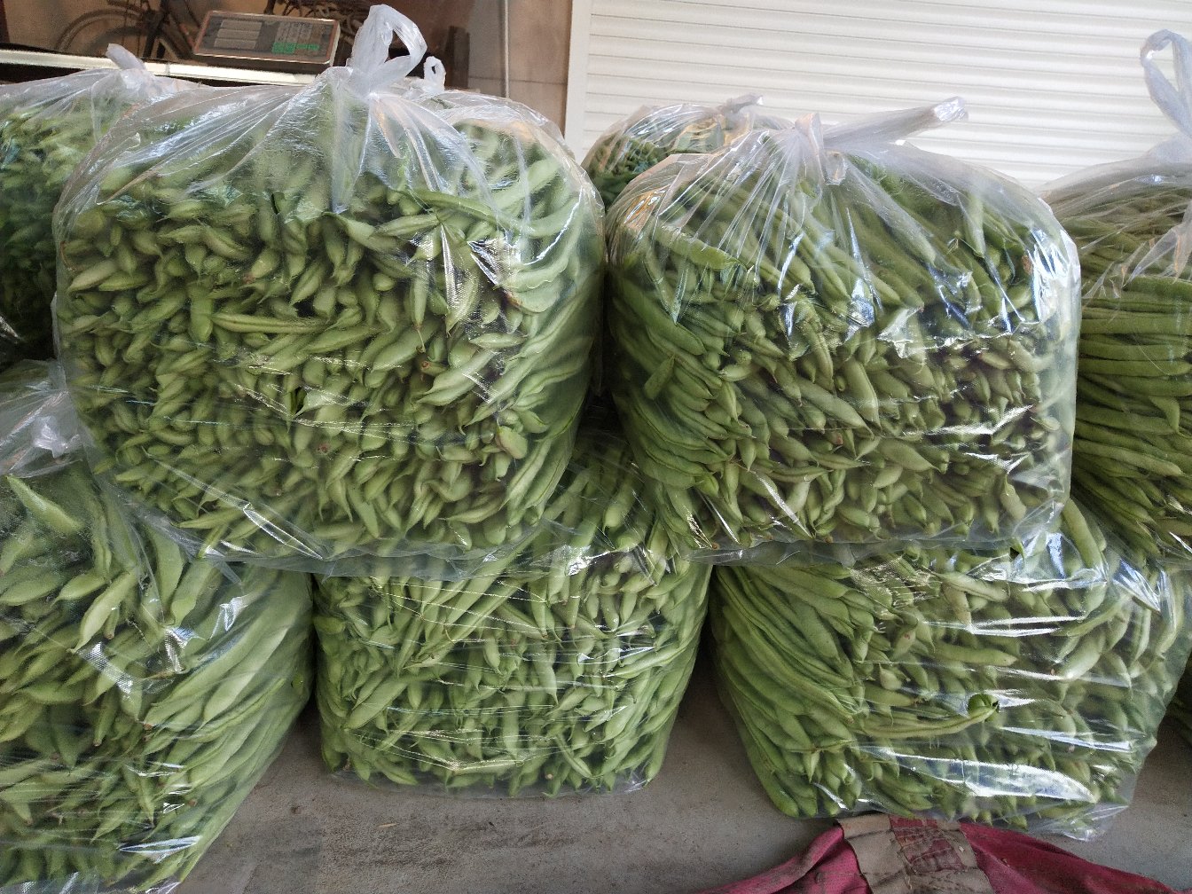 绿皮扁豆在农贸市场销售,展示其新鲜状态和消费者选购场景 绿皮扁豆在市场摊位上的销售场景