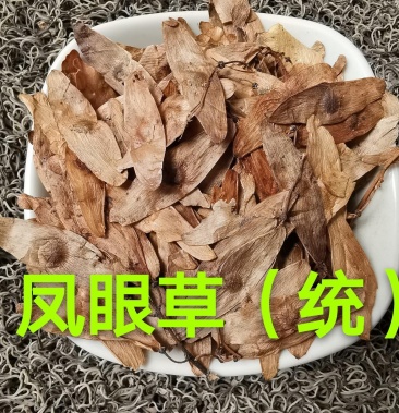 凤眼草.道地药材,质优价实,品质保证,药典标准一公斤起批